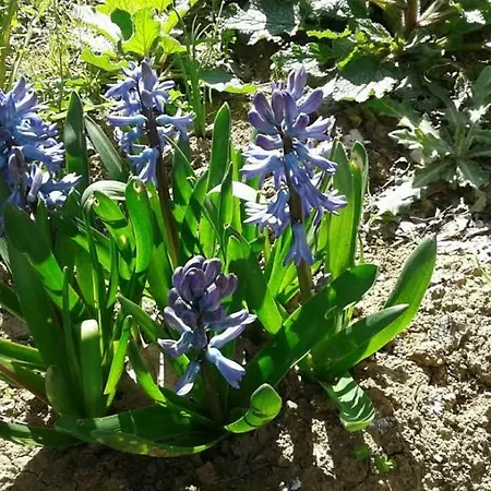 Lo Spazio Magico
